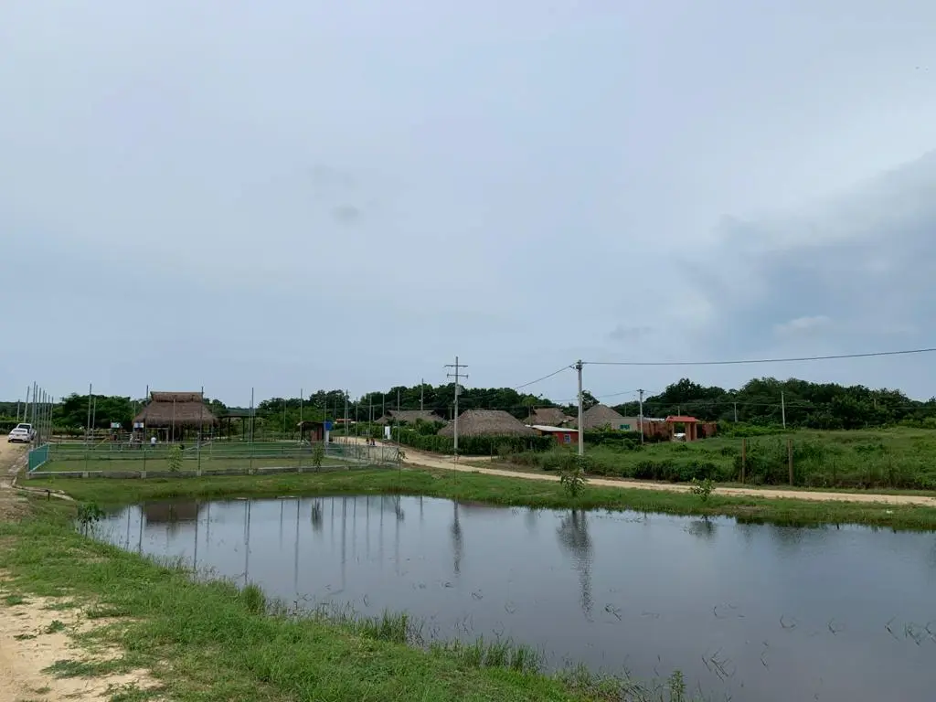 WhatsApp Image 2021-01-28 at 10.19.07 AM