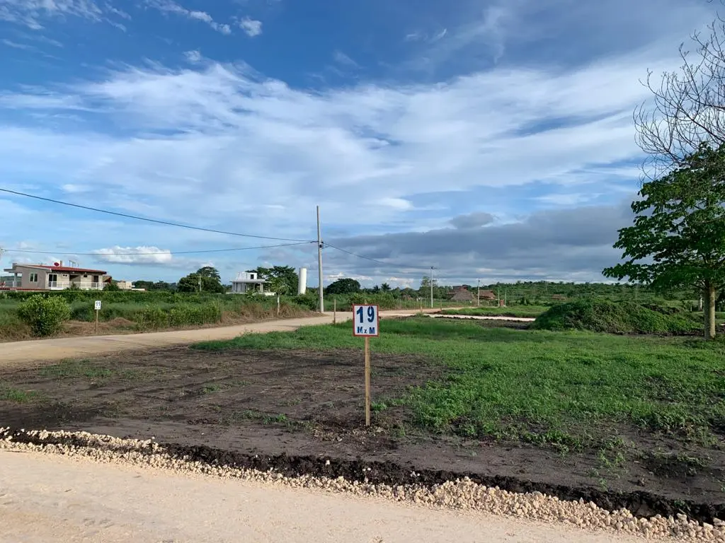 WhatsApp Image 2021-01-28 at 10.19.09 AM