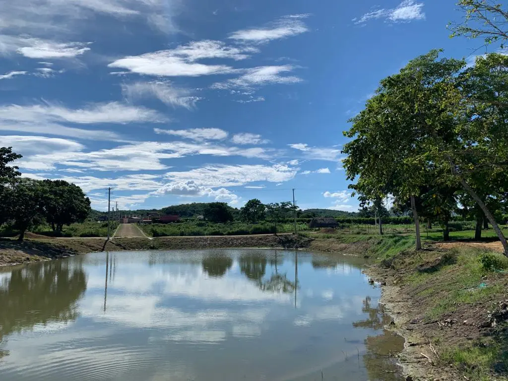 WhatsApp Image 2021-01-28 at 10.19.12 AM