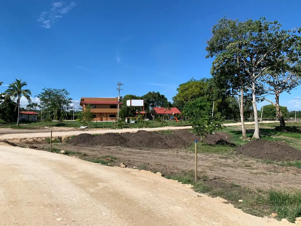 WhatsApp Image 2021-01-28 at 10.19.13 AM