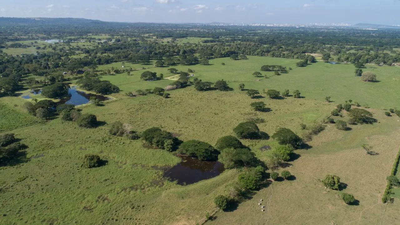 WhatsApp Image 2021-02-19 at 4.34.54 PM (1)