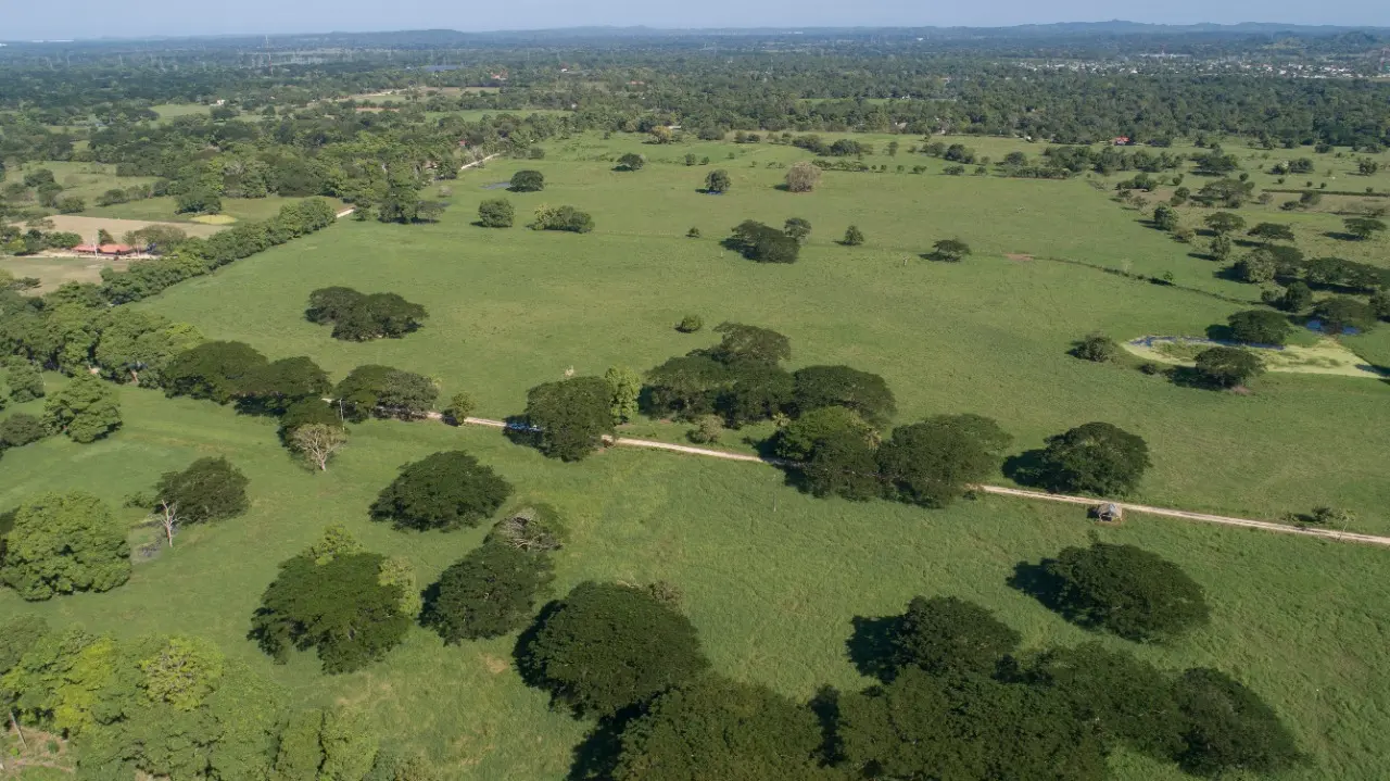 WhatsApp Image 2021-02-19 at 4.34.55 PM