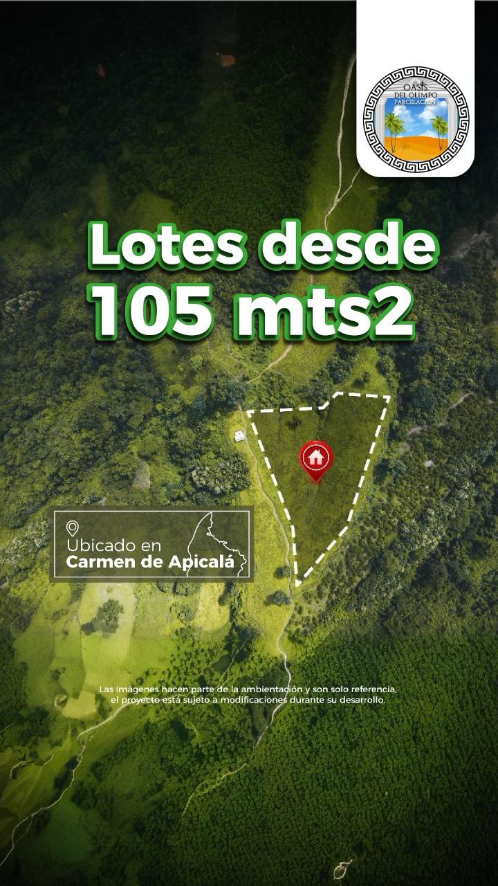 Copia de PHOTO-2025-01-16-11-02-35